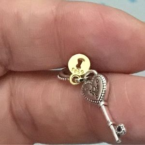 Pandora two tone charm